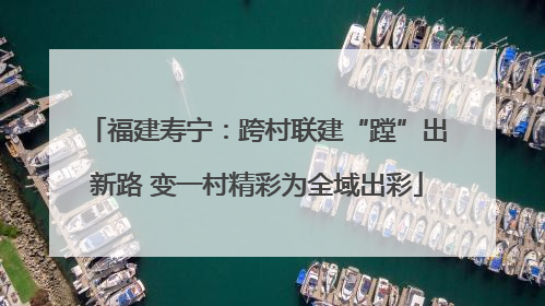 福建寿宁：跨村联建“蹚”出新路 变一村精彩为全域出彩